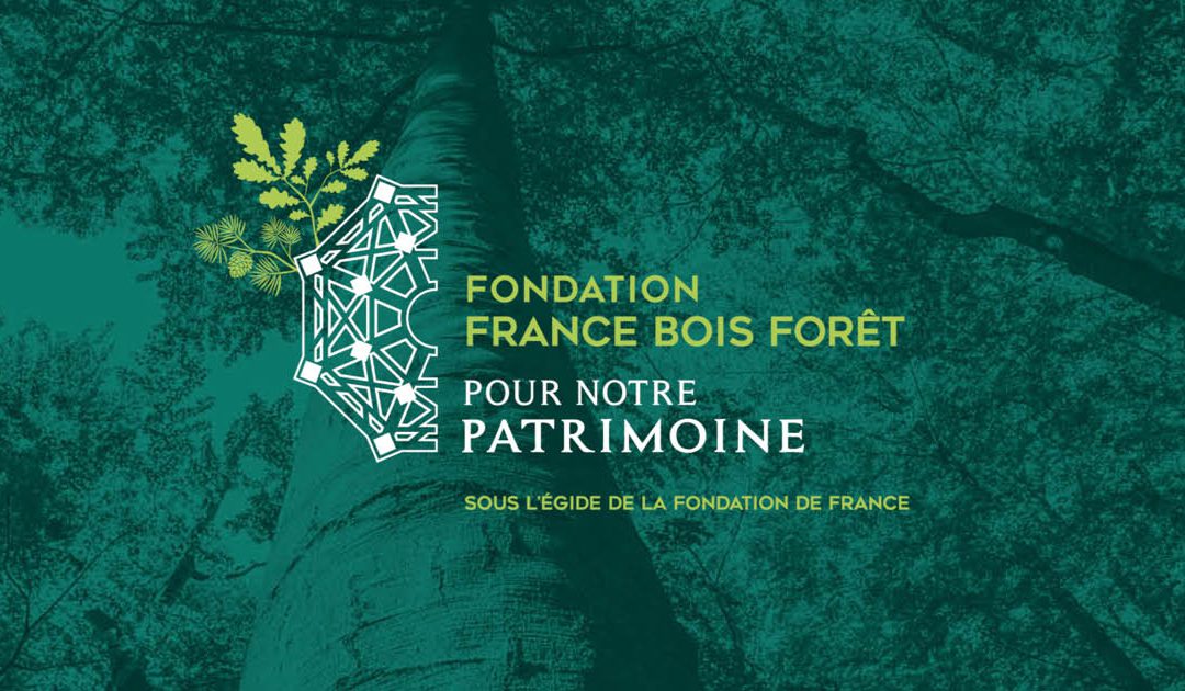 Fondation France Bois Forêt pour notre Patrimoine