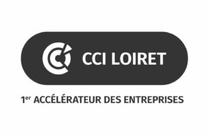 Logo CCI Loiret