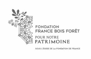 Logo Fondation France Bois Foret pour notre patrimoine